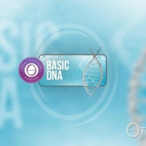 dna base