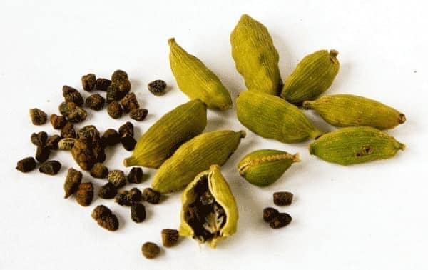 cardamomo