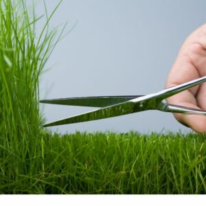 Serata taglio legami con il 2023