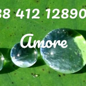 Seminario Grabovoj 8 Gennaio 2023 Piozzo